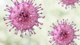 CMV Virus | City of Hope