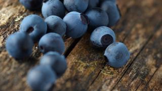 COH Hilton nutrition research