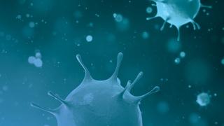COVID vaccine study hero image