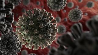 Covid 19 Coronavirus | City of Hope