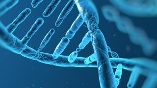 Blue DNA chain