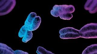 Blue and purple DNA 1024x475