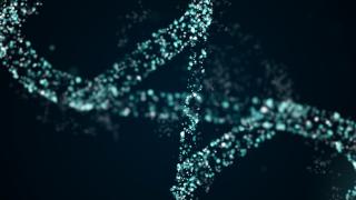 DNA Repair | City of Hope