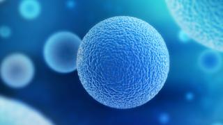 Fakih KRAS Cell Mutation | City of Hope