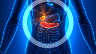 Gallbladder Bile Duct | City of Hope