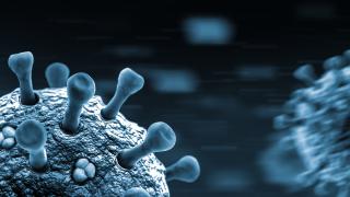 Immune System COVID | City of Hope