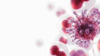 Blood Cancer | City of Hope