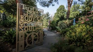 Golter Gate Inscription: There is no profit in curing the body if in the process we destroy the soul