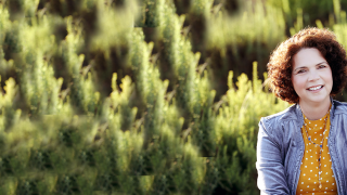 Lily-Grannis-Hero-1015x475