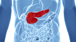 Purging pancreatic cancer with bacteria-based immunotherapy