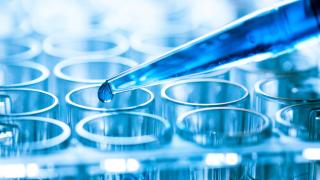 stem cell research