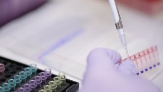 cell research