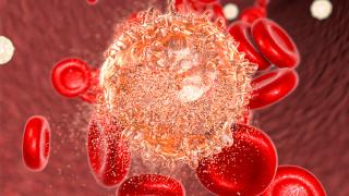 Red Blood Cells and Cancer