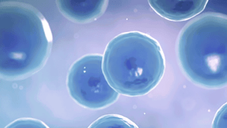 3d computer illustration of T Cell