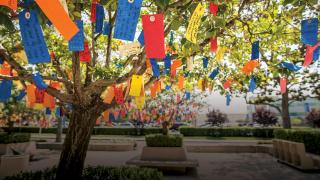 wishing tree with colorful wishing tags