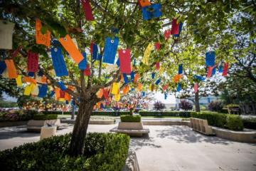 Wishes of hope and healing for our patients