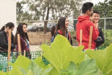 People in a garden