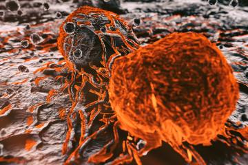 3d rendered image, abstract enhanced scanning electron micrograph (SEM) of cancer malignant cells.