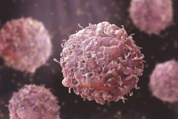 cancer cells