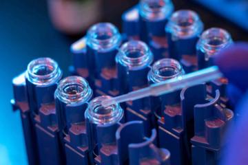 Test tubes in a cancer research lab