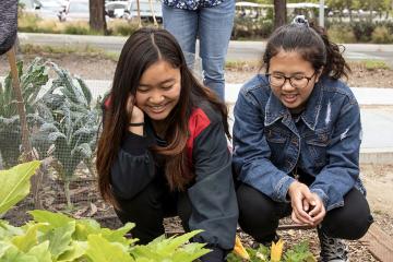 Students of the Hilton Science Nutrition program learning to grow vegetable