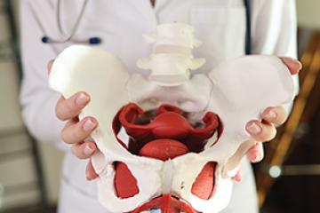 OC Pelvic Floor Therapy Class