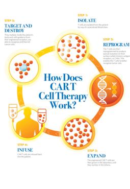 how-does-car-t-cell-therapy