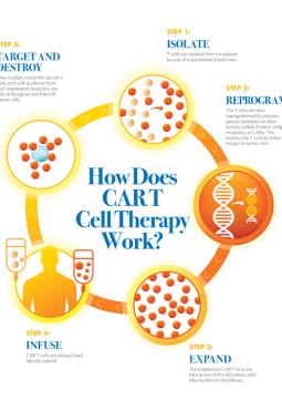 how-does-car-t-cell-therapy