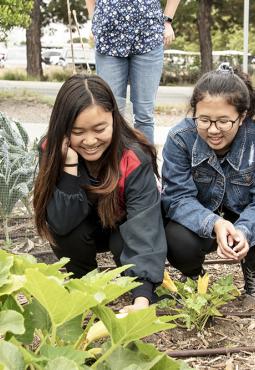 two young girls working in garden two young girls working in garden