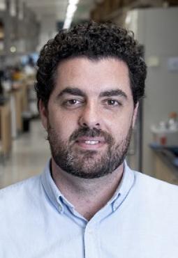 Meet Our Doctors: Saul Priceman, Ph.D.