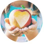 K-12 Student Outreach And Internships