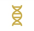 DNA Icon